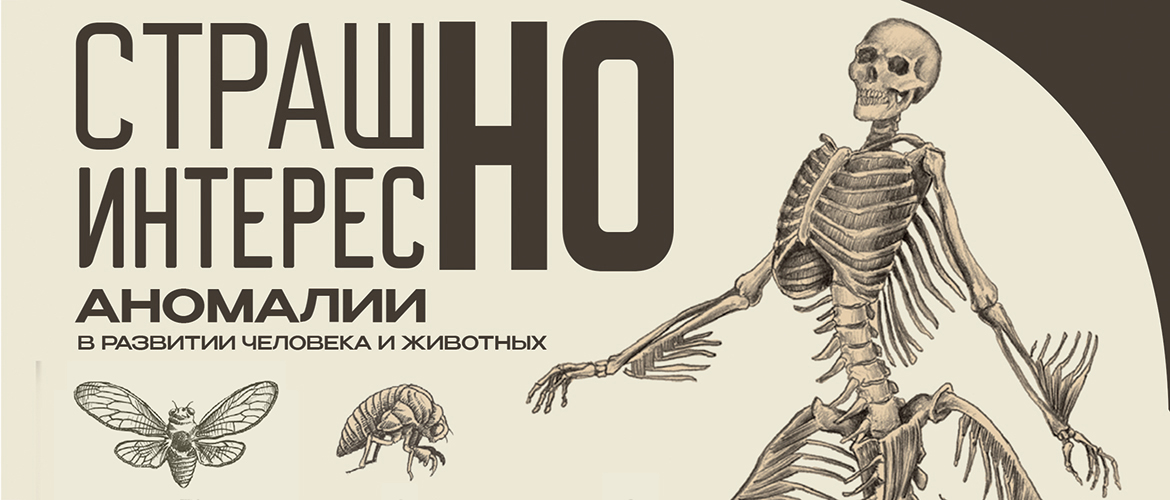 ЭКСПИРИмЕНтуС: музей занимательных наук 1