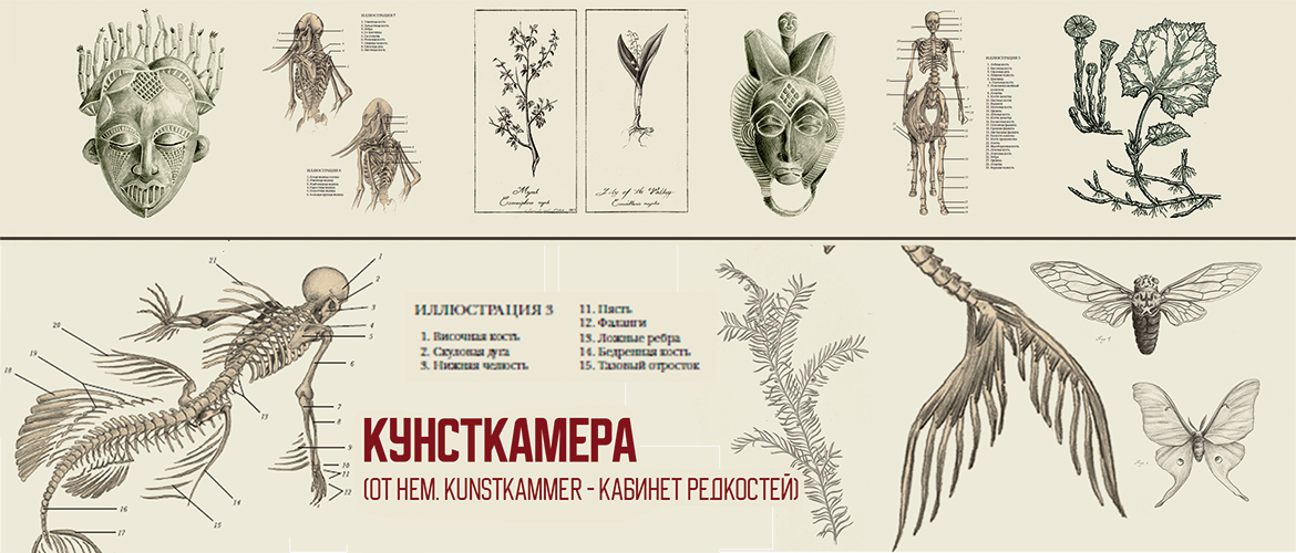 ЭКСПИРИмЕНтуС: музей занимательных наук 2